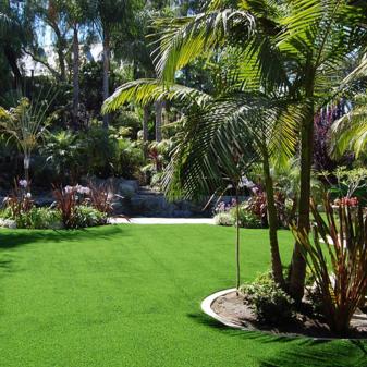 Landscape Turf