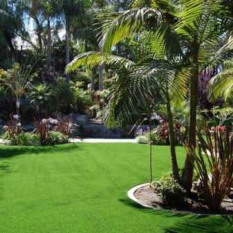 Artificial Grass