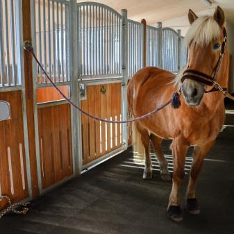 Horse Stall Mats
