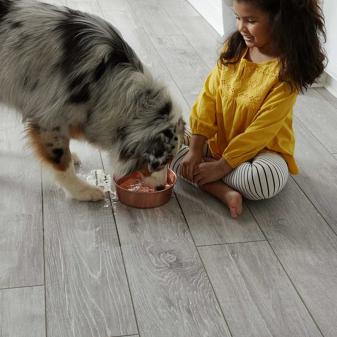Waterproof Laminate Flooring