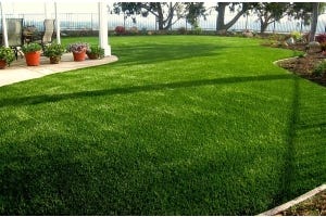 Beverly Premium Turf Rolls
