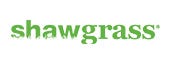 Shaw Grass
