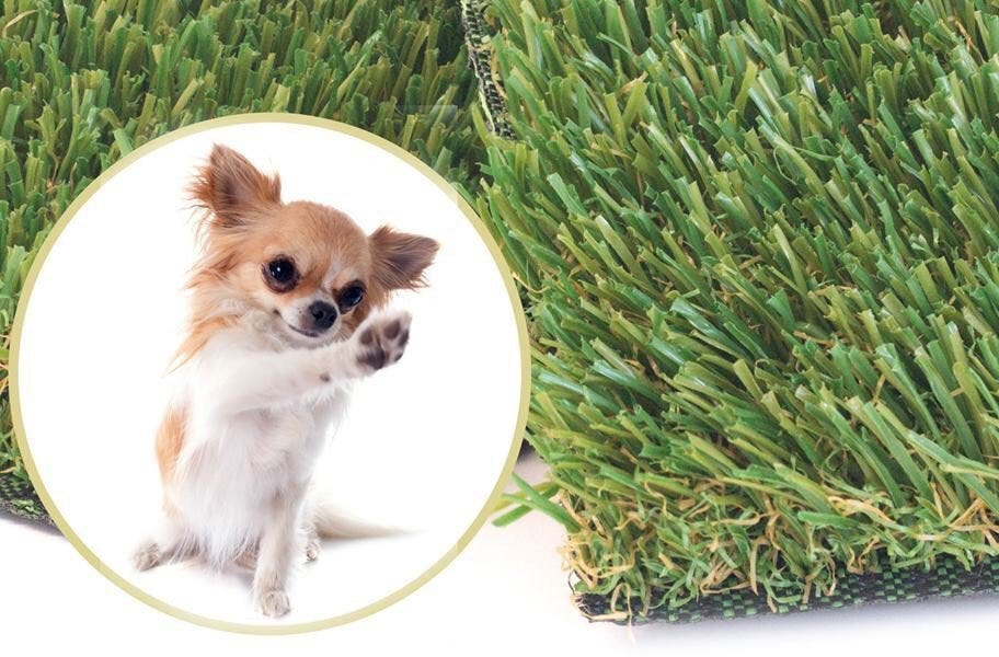 K9 Turf Rolls Pet Friendly Indoor Outdoor Turf Artificial Grass for Dogs Pet Flooring Fake G
