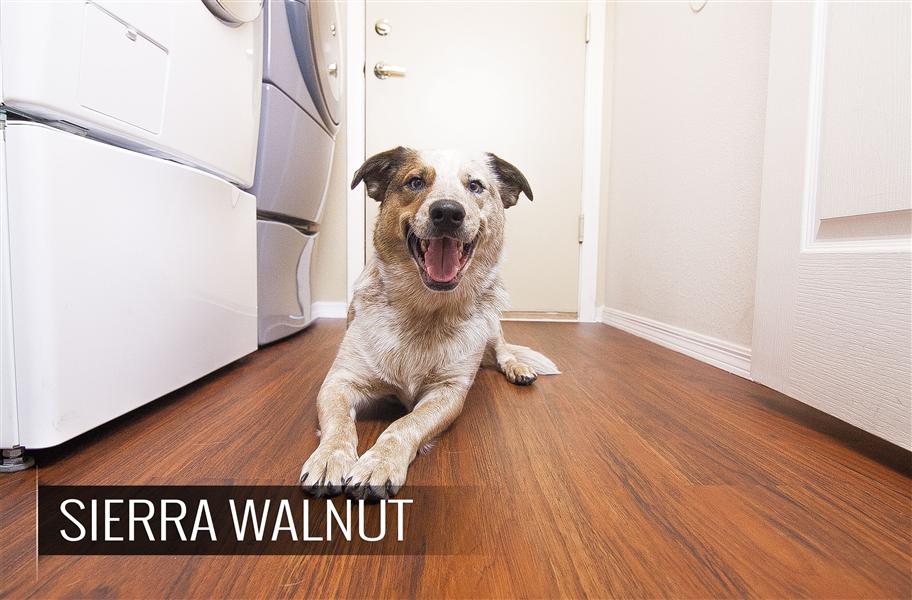 What's the Deal with Vinyl Planks Part 3 {decisions, decisions}: In our 3rd edition of our series on vinyl plank flooring, we are teaching you the best way to make decisions to fit your budget, desired look and necessary durability. A must read for anyone considering purchasing vinyl floors for their home or business!