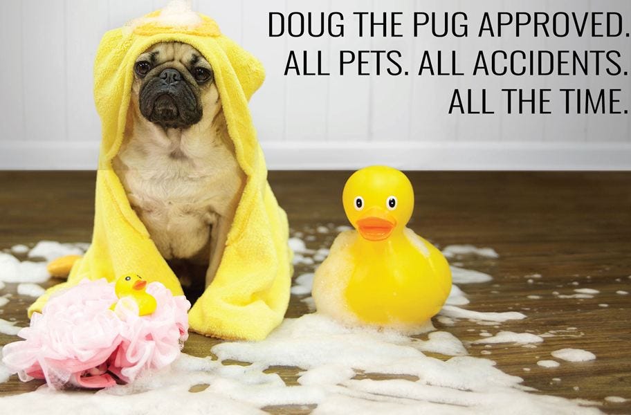 What's the best flooring for dogs? We've gathered the top 5 dog friendly flooring options to help keep your pet safe and your home stylish.