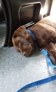 How to Choose Boat Flooring: Discover the best choices for your boat flooring needs