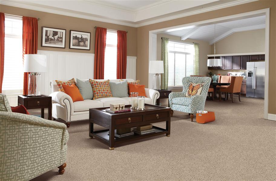 2017 Carpet Trends: Update your home in style with these carpet trends that will stay in style the lifetime of your floor.