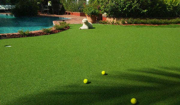 Flooring Inc. Putting Green Buying Guide: Putting Green Turf Rolls
