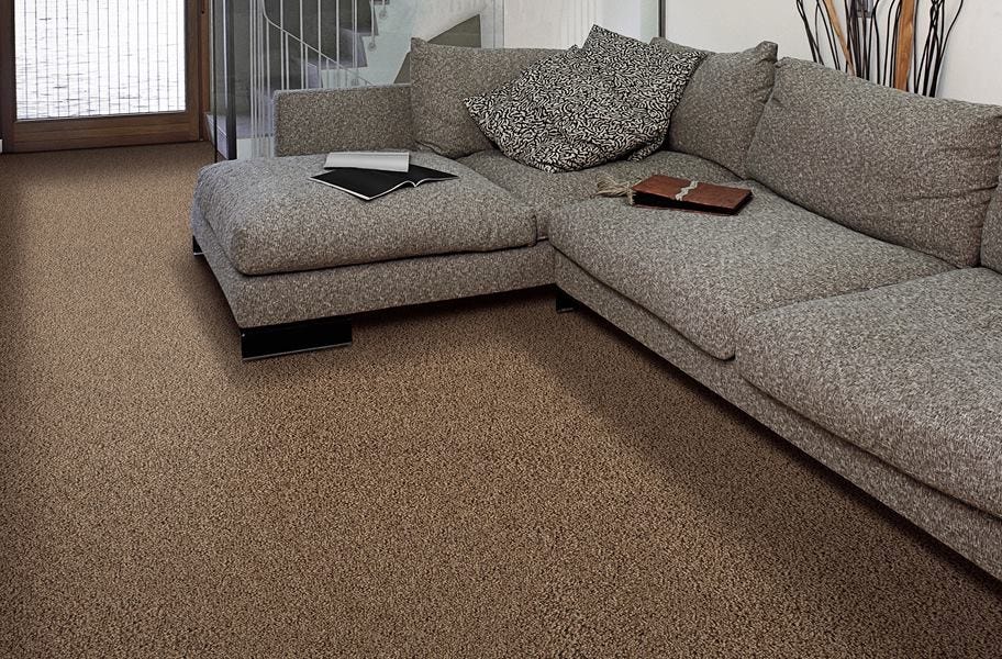 Air.o Fresh Start I Carpet with Pad