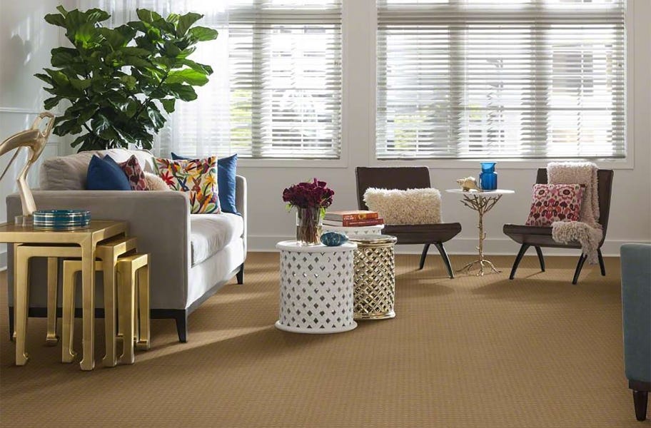 Waterproof carpet roll in a living room