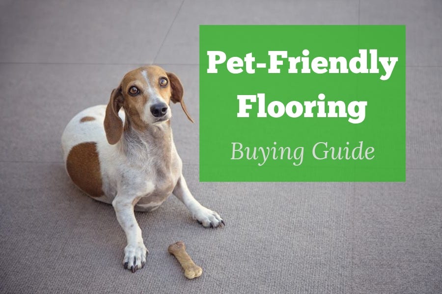 Pet-Friendly Flooring Buying Guide: The Best Floors for Paws, Claws and Hooves