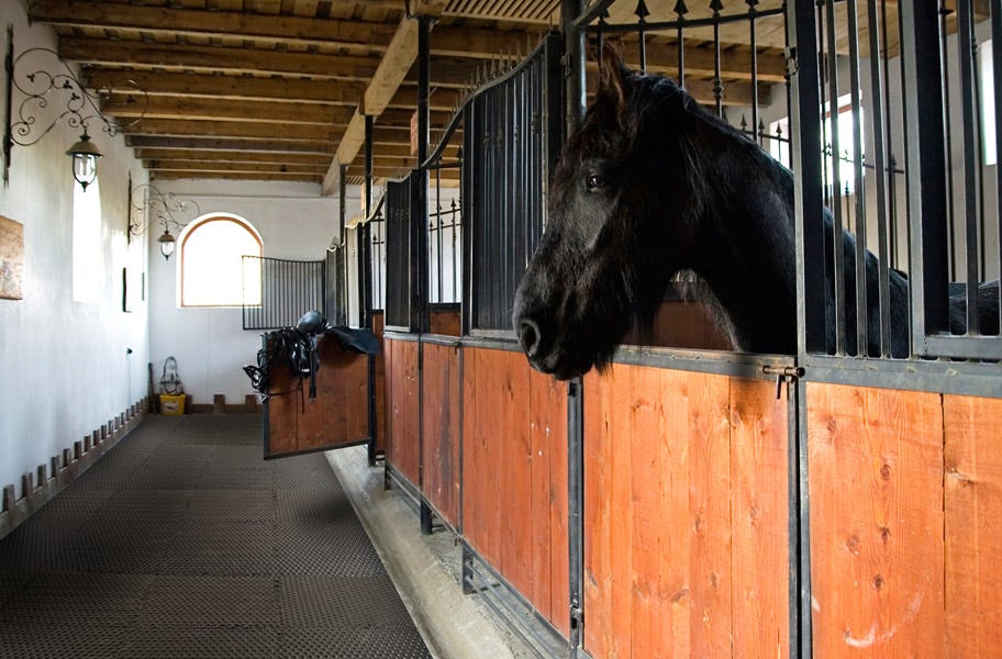 Flooring for horse trailers and livestock trailers