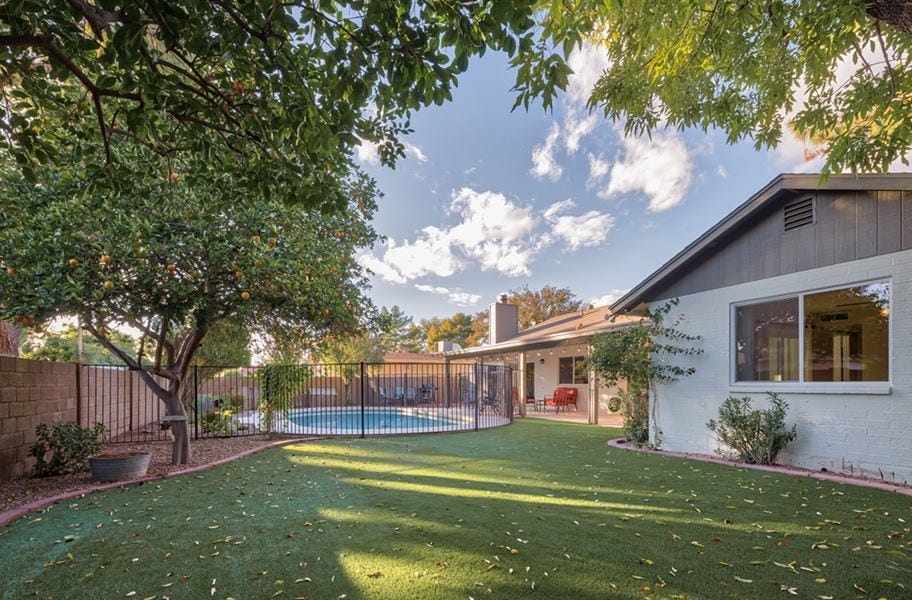 Landscape Turf Buying Guide: Learn About Artificial Grass