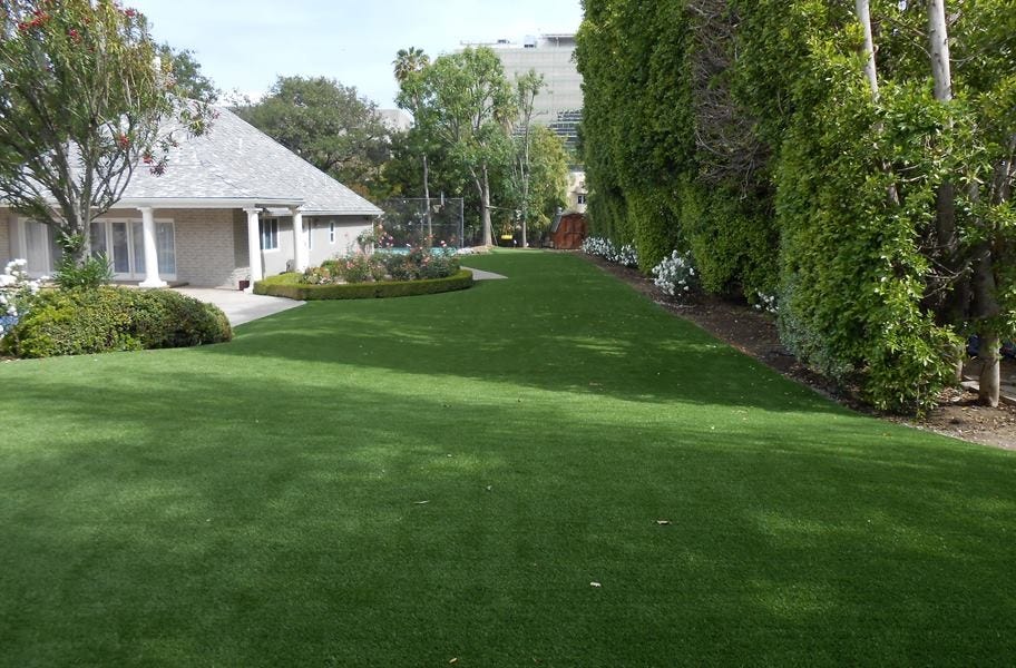 Tacoma turf roll in a front lawn.