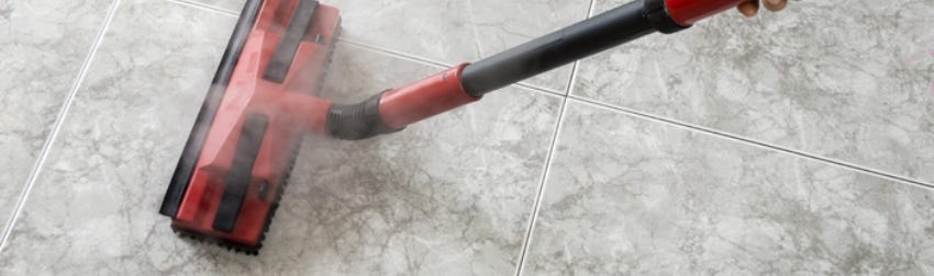 Deep clean pet odor and stains with a wet vacuum