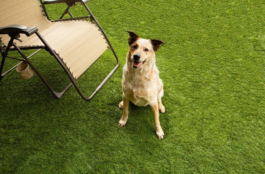 The 4 Best Artificial Grass Options