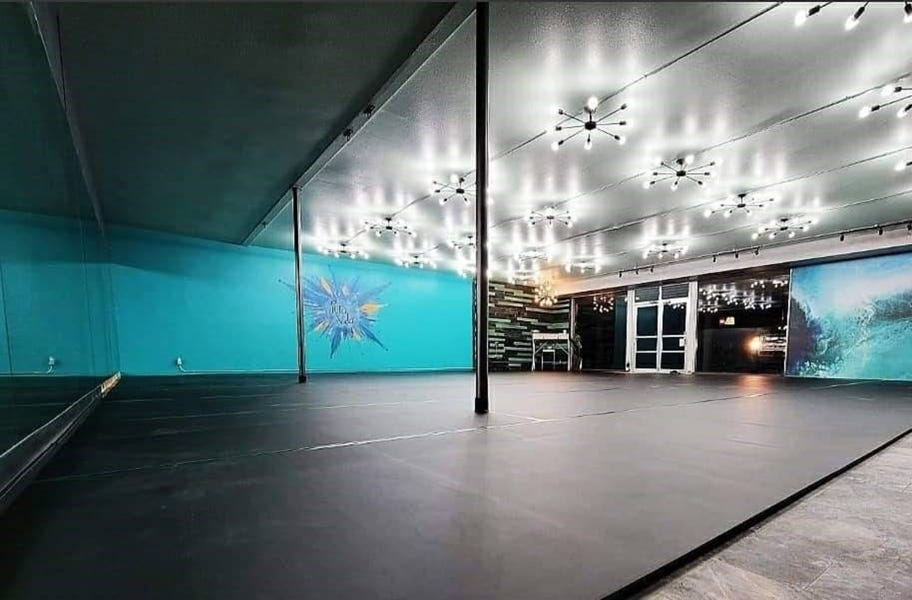 Rosco Adagio Tour Rolls - Custom Cut in a commercial studio