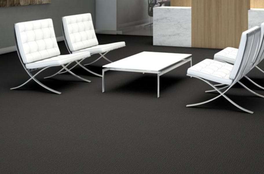 Low Pile Carpet: Shaw Function Carpet