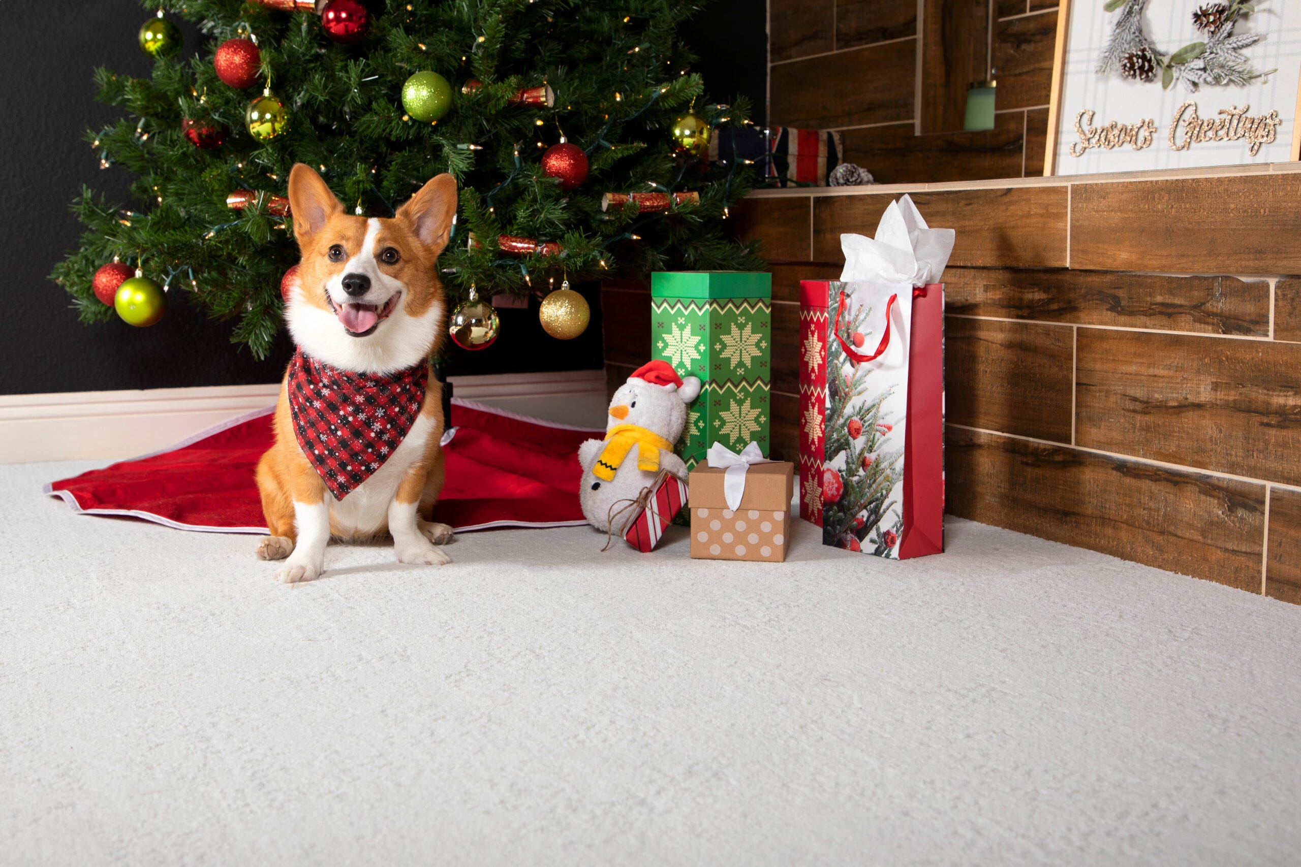 2024 Holiday Gift Guide: 10+ Best Home Flooring Ideas