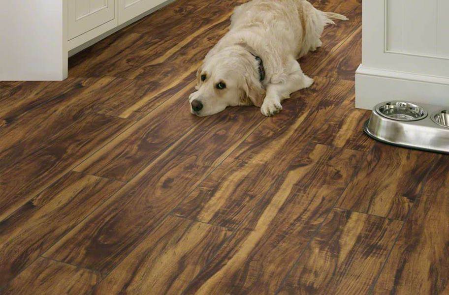 Shaw Paragon Plus 7" Rigid Core Vinyl Planks